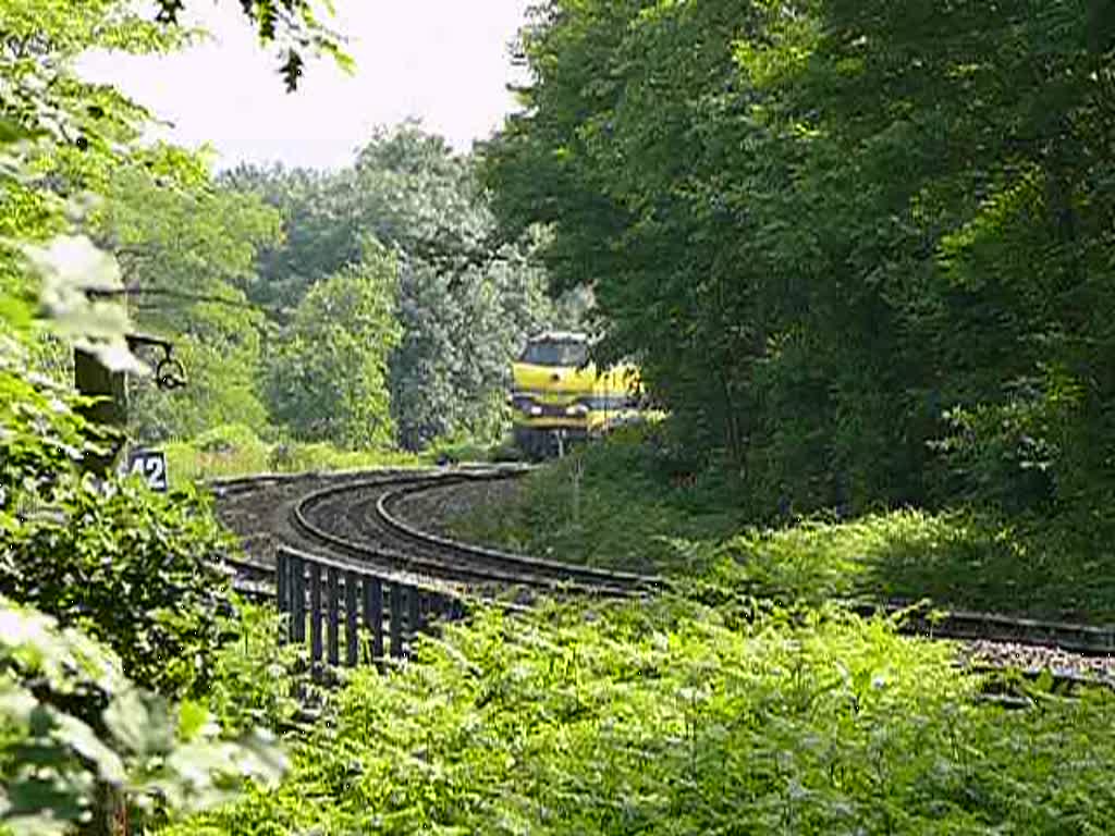 5538 und Schwesterlok ziehen einen gemischten Gterzug von Montzen kommend in Richtung Aachen-West. Linie 24. Aufgenommen im Wald bei Moresnet-Chapelle am 21/06/2008.
