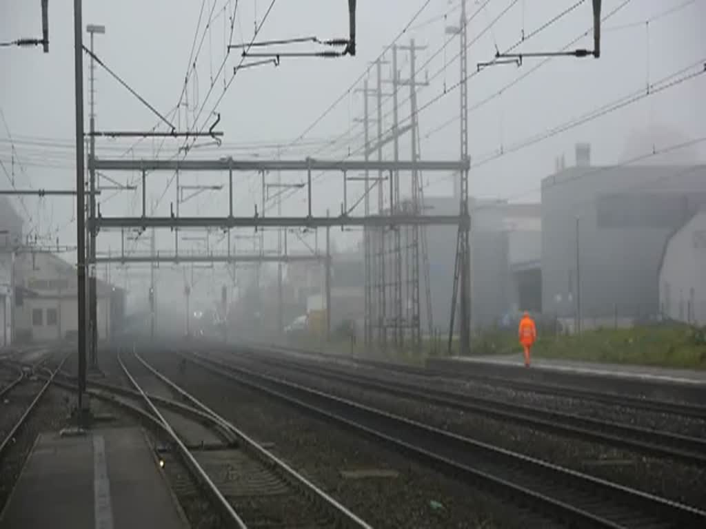 Bhf. Rupperswil - Aargau. Auch der Nebel kann interessant sein, wenn der TGV 4408 pltzlich aus diesem auftaucht und von der anderen Richtung eine Zrcher S-Bahn kommt. Dazu noch ein Regio im Film, was will man mehr. Natrlich ist auch Glck dabei, dass die S-Bahn keine Sekunde zu frh kam und so den TGV verdeckt htte. 22.11.2011