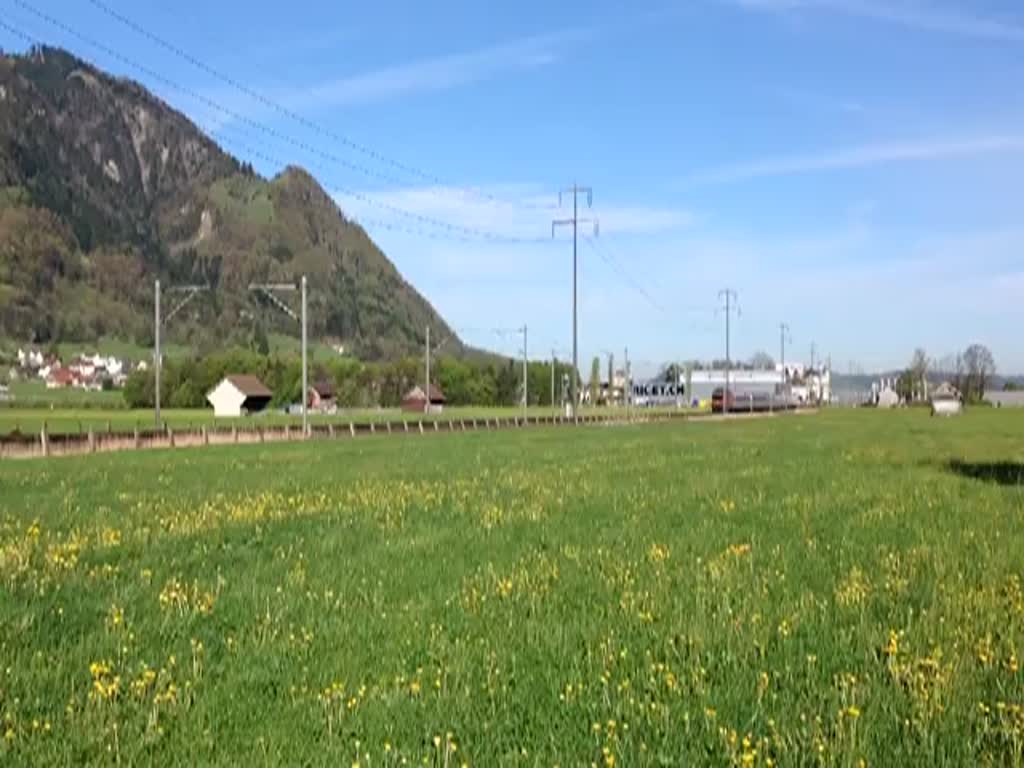 Die Re 460 062-3   Ergolz  durchfährt am 11.04.2014 mit dem EC 163  TransAlpin  die saftigen Wiesen vor Ziegelbrücke. (Hinweis: Video mit IPad aufgenommen)
