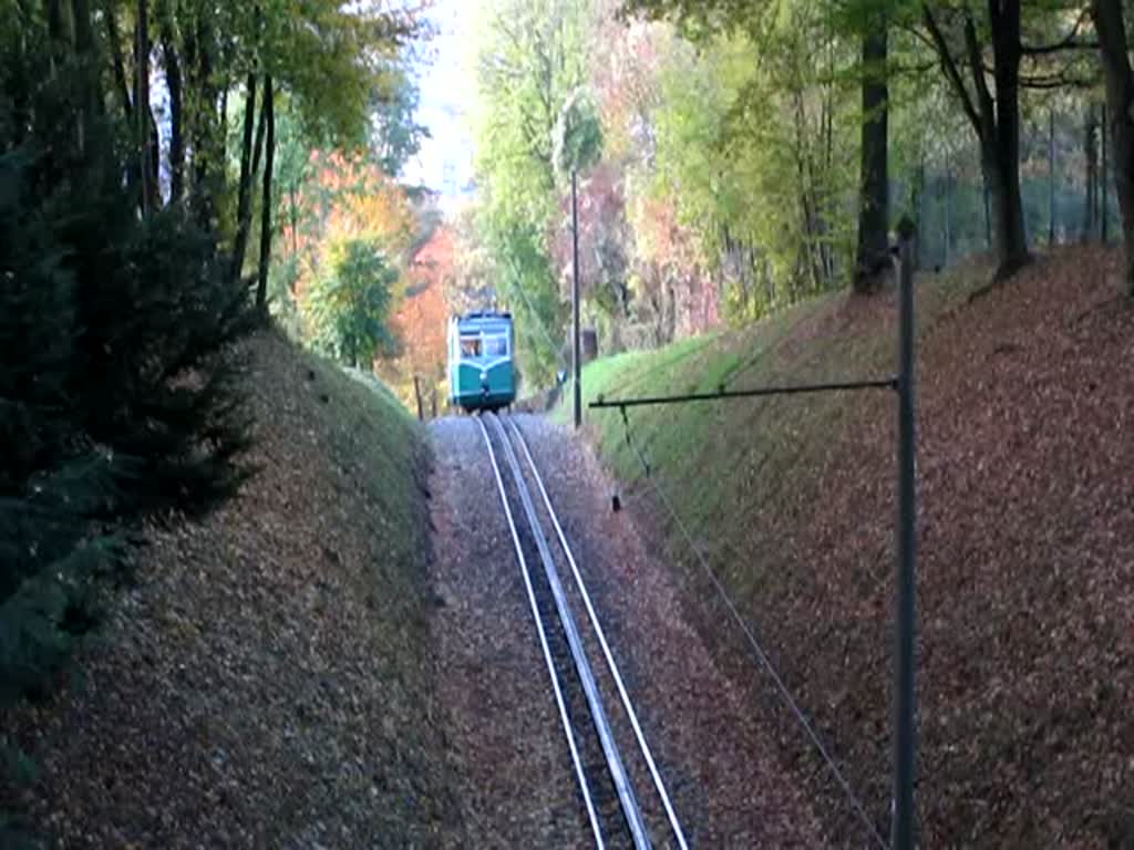 Ein Triebwagen der Drachenfelsbahn erklimmt die Berge
des Drachenfelses am 30.10.09.