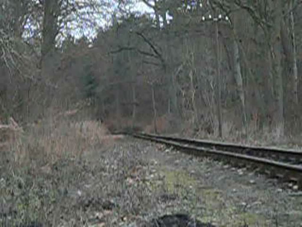 Ein Zug fhrt am 29.12.2007 in Ghren ein.