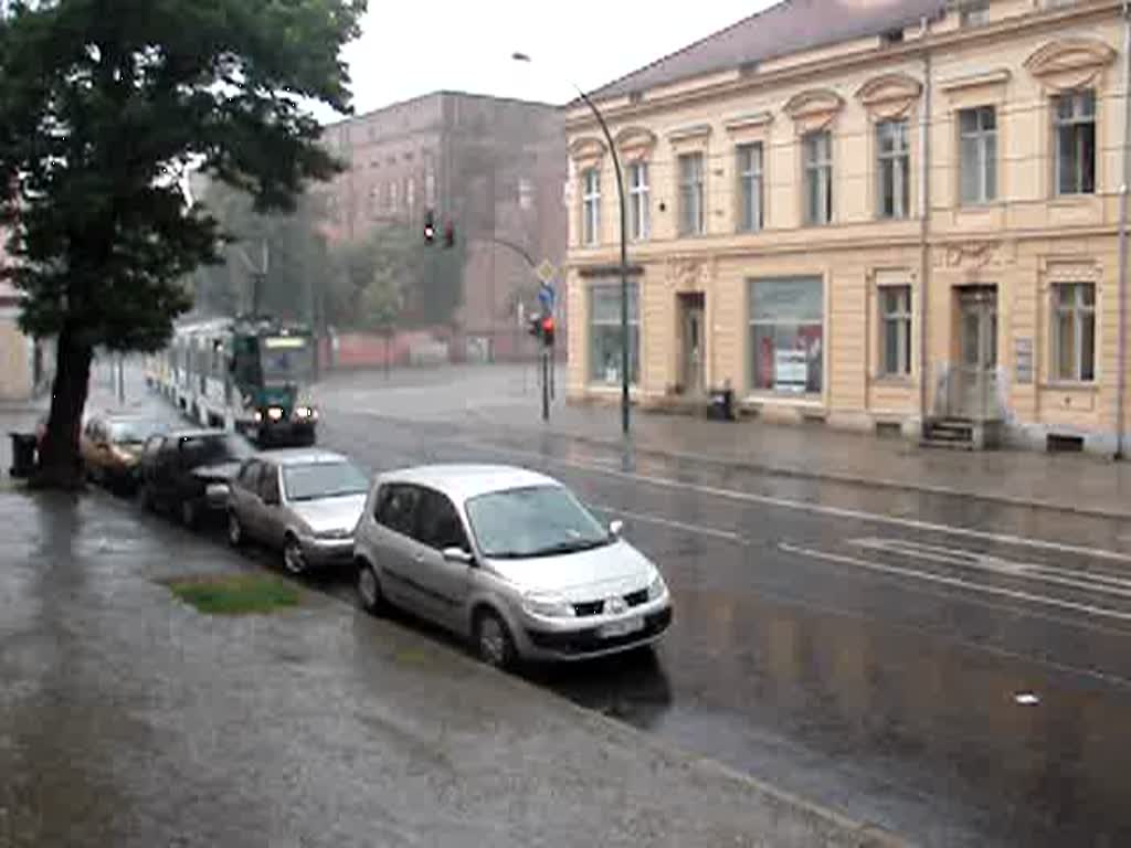 Eine Straenbahn in Potsdam fhrt im Regen die Charlottenstrae entlang. Aufgenommen am 08.08.07