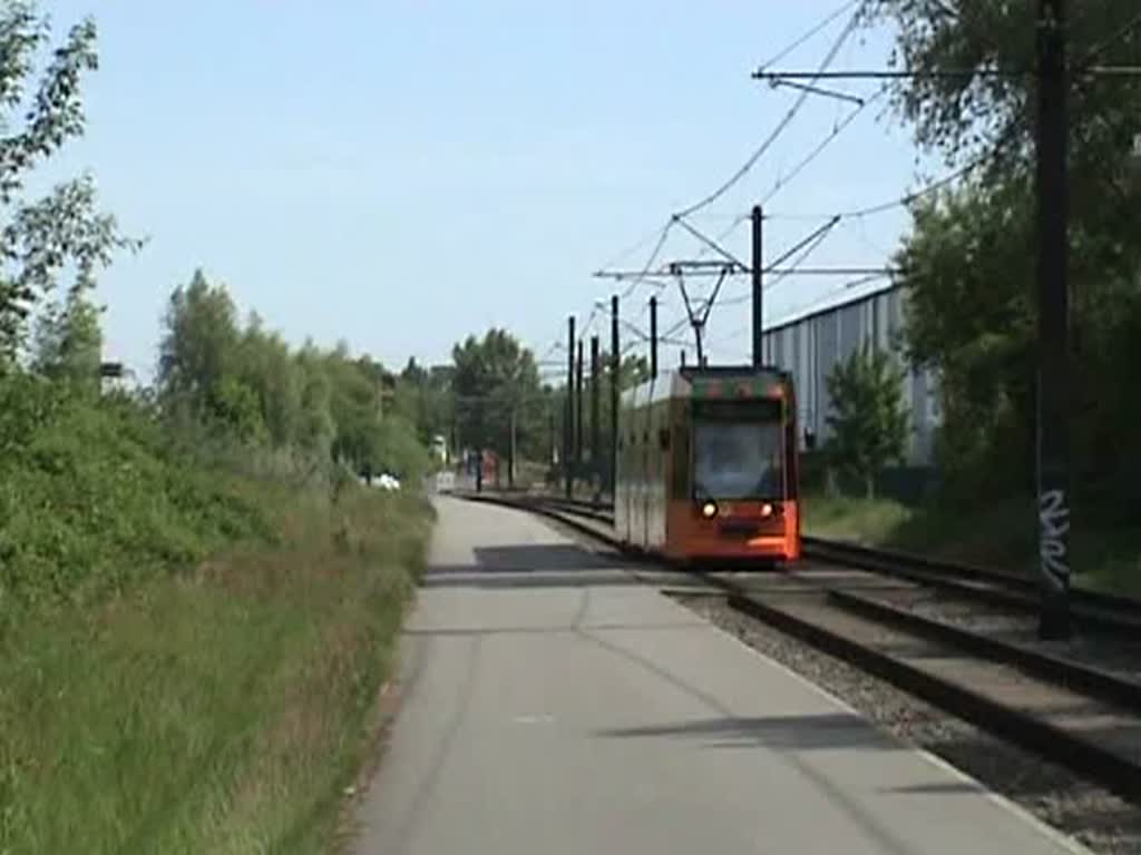 Rostock: In Marienehe verluft die Straenbahntrasse nach Evershagen / Lichtenhagen ca. 500m parallel zur Sbahnstrecke Rostock,Hbf - Warnemnde. Eine Parallelfahrt festzuhalten ist mir gelungen :)