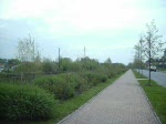 G�terzug aus der Gegenrichtung ...  Mario Pagenhardt 02.05.2008
