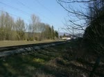 Ausl�ndische (1 Fotos)