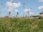 Hinter dem Gras kamen ...  Stefan Pavel 10.06.2011