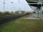 RE33105 von Rostock Hbf.nach ...  Stefan Pavel 12.10.2008