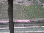 Sonstige (2 Fotos)