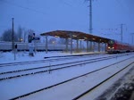 RE nach Halle/Saale mit ...  Alexander Ring 31.12.2010