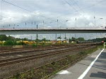 BR 151 Eine 151er am 16.8.09 in Duisburg-Entenfang
(Mit Makro Gru�)