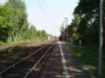 BR 155 Eine BR 155 mit einen gemischten G�terzug in Maintal Ost.