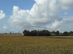 BR 1700 Lok 1742 dr�ck ihren Zug, an einem Windigen Samstag, aus Richtung Roosendaal nach Zwolle, aufgenommen in der n�he von Hoeven, n�chtser Halt ist Breda. 05.09.09  