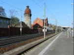 Hackschnitzel Z�ge (4 Fotos)