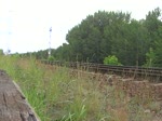 Video der 185 063-5 ...  Thomas Wendt 28.06.2010