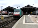 EC 46 in Frankfurt/Oder ...  Maik Christmann 05.04.2010