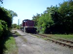 202 483 f�hrt ins ...  Alexander Ring 10.12.2010
