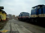 V100 003 (202 811)und ...  Alexander Ring 11.01.2011