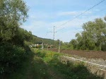BR 203 Am 01.09.2009 kamen uns zwischen Mecklar und Bad Hersfeld 'Christina' und 'Rex' quasi Hand in Hand entgegen, oder anders: ADAM 11 und ADAM 12. Gru� zur�ck an den Tf!