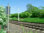 232 696-4 f�hrt mit ...  Lars Backhaus 10.07.2008