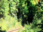 BR 64 Die Gastdampflok 64 419 bei einer Sonderfahrt Freiburg- Breisach 