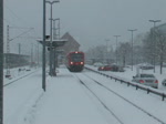 BR 650 Regioshuttle (DB) (25 Fotos)