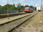 BR 771 | 772 (DR 171|172, DR VT 2.09 (Ferkeltaxe) (12 Fotos)