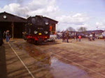 Brohltalbahn Br 99 f�hrt nach dem Bekohlen in Richtung Brohl Bahnhof um den Zug nach Engeln zu bef�rdern anlass ist Dampfspektakel und 175 Jahre Deutsche Eisenbahn am 2.4.10