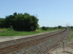 Burlington Nothern and Santa Fe BNSF Eine 4er Traktion Dash-9 der BNSF zieht am 22.07.2009 einen Containerzug zwischen Rose Hill und Augusta, Kansas. Das einzig st�rende ist der LKW Motor im Hintergrund am Bahn�bergang.