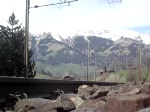 Cisalpino AG Ziel dieses Clips war es, so nah wie m�glich ein Zug aufzunehmen.Die E 484. 018 SR rast mit ihrem Cisalpino Bern-Milano am 1.4.2007 kurz nach Frutigen nur wenige Zentimeter neben meiner Kamera durch...