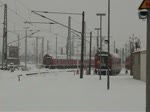 Cottbus (25 Fotos)