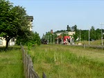 Einfahrt der Dampflok 131.060 mit Sonderzug (DPE 88547) am Bahnsteig 2 des Bahnhofes Grevesmhlen, 31.05.2008