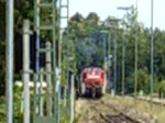 294 745 fhrt Pfeifend aus dem Bahnhof Hirschau aus. (Strecke Amberg-Schnaittenbach, 28.08.2007) 