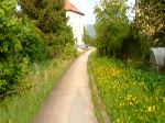 Den Bahnsteig des ehemaligen Hp Rudolstadt-Schwarza West kann man heute als Fu- und Radweg nutzen. Wre bis Mai 2000 verboten gewesen... (30.04.2009)