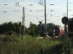 Wenn in Warnemnde Kreuzfahrtschiffe anlegen, bietet sich fr die S-Bahn bei Sonnenschein ein eindrucksvolles Panorama.
01.Juli 2009