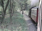Fahrt mit der Schmalspurbahn im Mai 2006 (Selketalbahn)