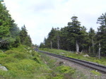 Der doppelt gespannte Sonderzug mit den Loks 99 5902 und 99 5901 auf dem Rckweg vom Brocken nach Wernigerode, hier an der Brockenstrae am Brocken, vorweg 99 5902.
