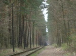 Straenbahn auf der Waldstrecke zwischen Woltersdorf und Rahnsdorf.