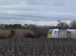 Frankreich, SNCF, Region Languedoc-Roussillon, Fretzug, gezogen von einer ECR Bombardier Traxx E 186 (die 186-173), hier unter 1,5 kV Gleichstrom, zwischen Villeneuve-lès-Maguelone und Mireval, einige Kilometer westlich von Montpellier. 28.01.2014