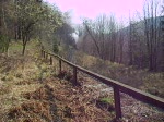 Harzer Schmalspurbahnen Der 2. Brockenzug an diesem Tag ist hier an einem Waldweg in der Kurve vor dem Tunnel der HSB zu sehen. 3.April 2007 10:49