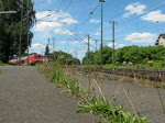 185 258-1 zieht einen ...  Felix H�hne 13.12.2009