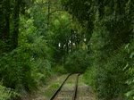 Am 23.09.2012 zieht die Dampflok  Energie 507  des Train 1900 ihren Zug von Ptange in Richtung Fond de Gras an mir vorbei.