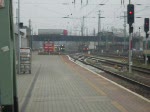 Einfahrt eines ODEG-Zuges am ...  Maiko Herzog 17.12.2008