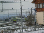 NINA RABe 525 ... und L�tschberger RABe 535 ... als ...