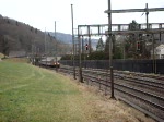 re-4-4-ii-re-420 Re 4/4 II mit EC nach Chur am 09.01.2008 bei Tecknau.