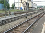 re-6-6-re-620 Re 6/6 mit langem GZ bei Pratteln am 27.07.2010