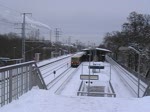 BR 485 auf der ...  Thomas Wendt 02.01.2010