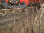 Einfahrt einer S-Bahn der ...  Thomas Wendt 18.03.2008