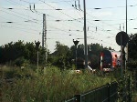 Wenn in Warnem�nde Kreuzfahrtschiffe ...  Mario Hasch 05.07.2009