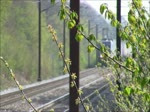 Am 23. April 2011 15:34 ist diese Hector Rail im Richtung Schweden unterwegs im nahe von Roskilde.
