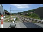 Schweiz 2012 - Ausfahrt eiens FLIRT auf der Hauensteinlinie aus dem Bahnhof Läuffelfingen. 22.6.2012